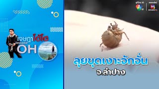 ลุยขุดเงาะจักจั่น หนึ่งปีมีหนเดียว | เจษฎาโอ้โฮ