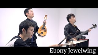 Music KART - Ebony Jewelwing (Osamu Kawakami) Highlight