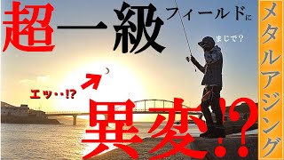 【デカアジまみれ】だった一級ポイントを1年ぶりに調査したらまさかの結果でした。【メタルアジング】