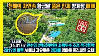 [매물번호 112] 인제 부동산 조류인플루엔자에서 자유로운 인제! 사방 임야로 둘러싸인 천혜의 자연 속 16,017㎡규모! 연수입 2억8,000만원의 황금알 품은 양계장 매물!