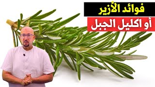 فوائد الأزير أو اكليل الجبل السحرية الدكتور عماد ميزاب Docteur Imad Mizab