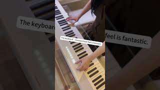 Terence V50 Unboxing \u0026 Review Folding Portable Digital Piano Perfect for Outdoor Use #terencepiano