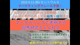 マーケティングで斬る！「2022 セントウルS」レース予想