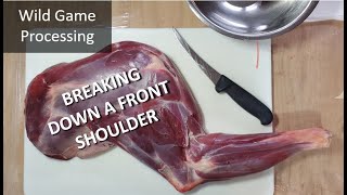 Breaking down a front shoulder