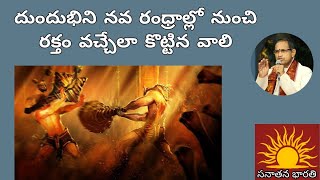 వాలి దుందుభుల మధ్య యుధ్ధం • vali • dhundhubhi • chaganti • ramayanam