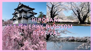 vlog/お花見🌸/弘前桜まつり🌸/弘前城🏯