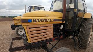 1984 Leyland / Marshall 802 3.8 Litre 4-Cyl Diesel Tractor (82 HP) with Cultivator