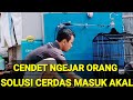 CENDET NGEJAR ORANG, solusi cerdas logika,