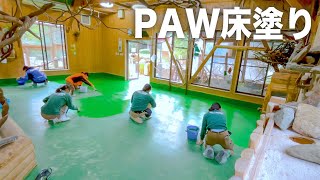 PAWの休館日に床のペンキ塗りを行いました！【飼育員のお仕事シリーズ】