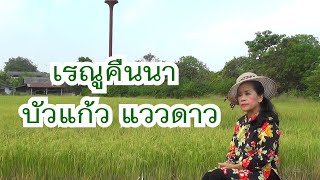 เรณูคืนนา - บัวแก้ว แววดาว OFFICIAL MV