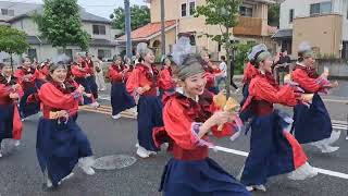 俄嘉屋　かんおんじ銭形まつり・銭形よさこい　2024年7月14日　柳町会場