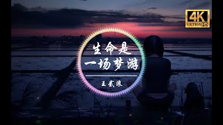 【无损音质】王贰浪《生命是一场梦游》4K画质「生命若是短暂的一场梦游 我们都只是彼此熄灭前的灯」动态歌词版