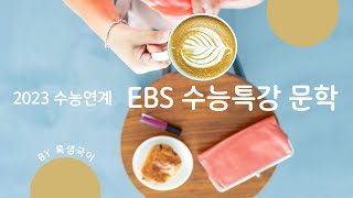 2023 EBS 수능특강 겨울 나들이, 박완서