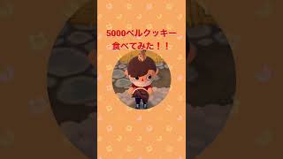 5000ベルクッキー食べてみた！！#shorts #あつまれどうぶつの森 #どうぶつの森 #ポケ森