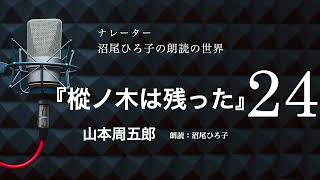 【朗読】山本周五郎『樅ノ木は残った』［24］ 朗読：沼尾ひろ子