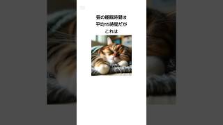 猫に関する嘘みたいな雑学 #shorts #豆知識 #トリビア #睡眠 #髭