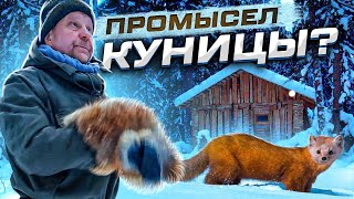 Промысел.Как не надо ловить Куницу. Байка из таёжной избы.