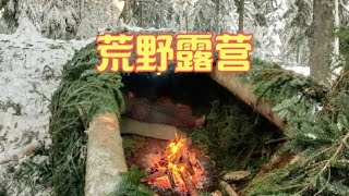 寒冷的雪地森林里，你可以徒步來到這里，利用倒塌的雪松樹干作為庇護所露營！ #荒野生存 #野外建造 #露营 #庇护所 #户外探险