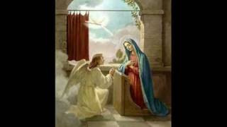 Why I am a Catholic