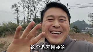 对于养蜂而言，冷冬一定要比暖冬好，因为天冷蜜蜂不出来死蜂减少