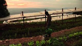 Rwanda: choosing the path to sustainability