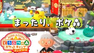 【ポケ森コンプリート】のんびり朝のポケ森ルーティン！まだ見ぬ住民と出会いたい。 #17【どうぶつの森】