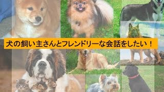 [A5E 128] 犬の飼い主さんとの会話で使えるフレーズたち