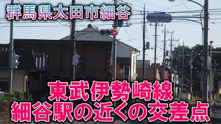 【信号機撮影#170】群馬県太田市細谷 細谷駅の近くの交差点