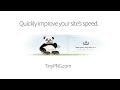 Increase your Site's Speed Drastically with TinyPNG