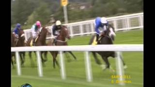 Nathaniel - King George VI And Queen Elizabeth Stakes 2011