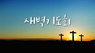 [하나엘] 새벽기도회(25.01.08) | 지세근 위임목사