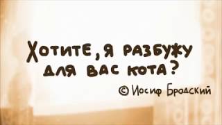 «Хотите, я разбужу для вас кота?»