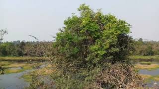 The Natural of Tonle Om (Bayern Temple)