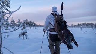 Toppfågeljakt med North Wild (De 4 tupparna)