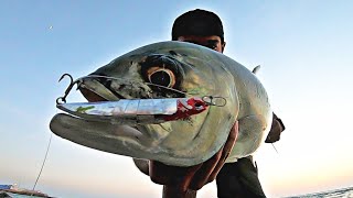 صيد السمك كاستنج جدة السعودية حداق لفاح البحر الاحمر - Fishing jeddah casting red sea Saudi Arabia