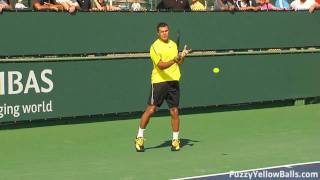 Jo-Wilfried Tsonga Forehands in HD