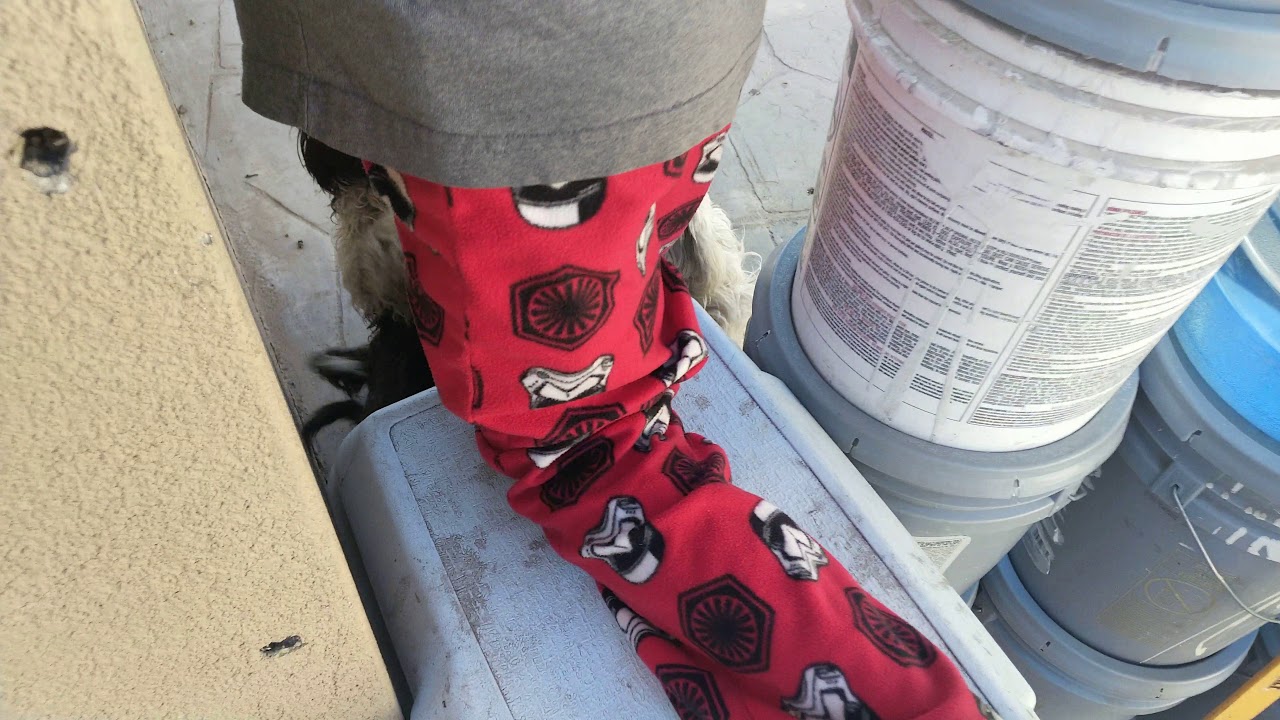 Peeeeeeeeeeeeeee Youtube