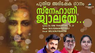 SNEHAGNI JWALAYE | അഭിഷേക ഗാനം | Wilson Piravom | Biju Kanjirappally | Sr Sini Thadathel A.O