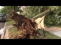 Chicago trees uprooted, thousands without power after derecho