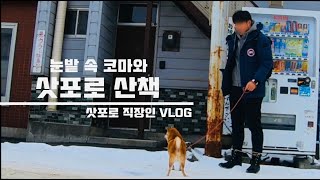 삿포로 직장인 Vlog I 삿포로 산책  (feat.시바견과 까마귀의 추격전) I 일본직장인 Vlog