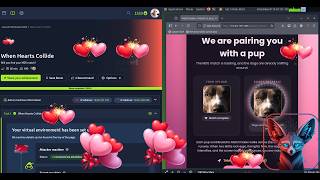 TryHackMe When Hearts Collide | MD5 collision | Full Walkthrough 2026