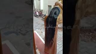 Combing Heavy Oiled Hair || Requested Video - No Audio