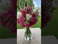 quick snapdragon antirrhinum majus arrangement