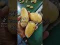 FRESH POTATOES PROCESSING, PAKISTAN