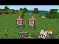 minecraft exploring the area with my pet wolves