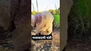 Comedy videos गावाकडची थंडी लय बेकार