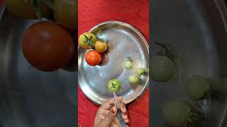 OMG 😱 Tomato Satisfying Growth  #shorts#shortvideo