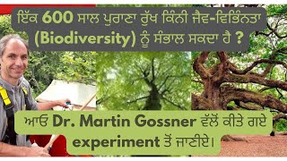 ਇੱਕ 600 ਸਾਲ ਪੁਰਾਣਾ ਰੁੱਖ ਕਿੰਨੀ ਜੈਵ-ਵਿਭਿੰਨਤਾ Biodiversity ਨੂੰ ਸੰਭਾਲ ਸਕਦਾ ਹੈ?