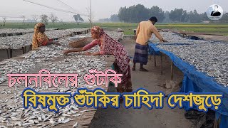 চলনবিলের শুঁটকি | Dried Fish | Tariqul Hasan