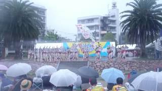 天空しなと屋　茜丸　ふくのやまよさこい2016※大雨演舞